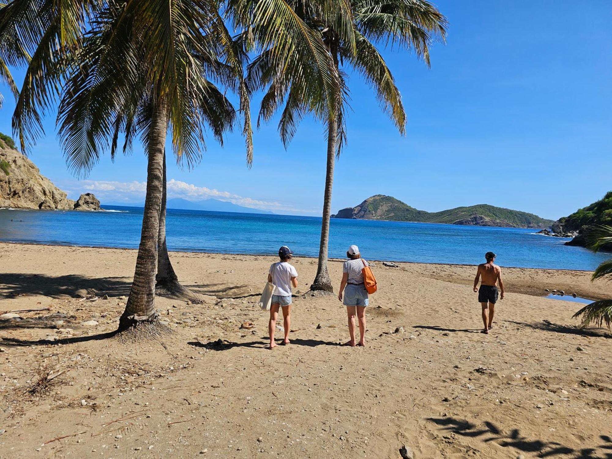 Villa Celyote - Haut De Villa, Vue Mer, A 150M De La Plage Anse Figuier Terre-De-Haut Zewnętrze zdjęcie